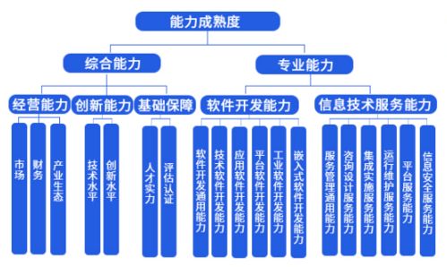 中科大旗榮獲成都市信息技術咨詢服務能力成熟度三級認證